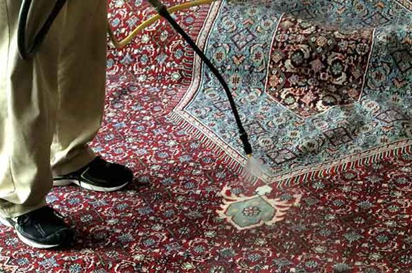 قالیشویی در برغان