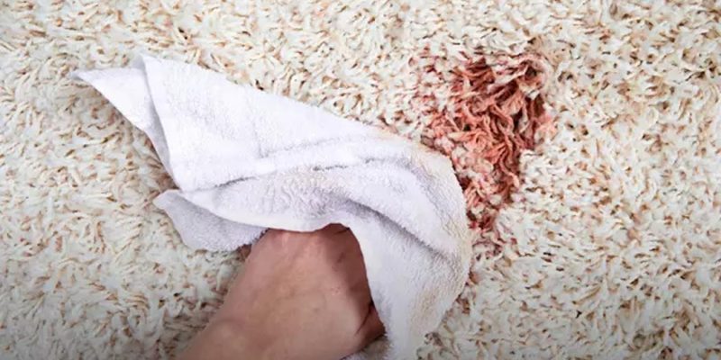آموزش پاک کردن لکه خون از روی فرش - قالیشویی چلسی