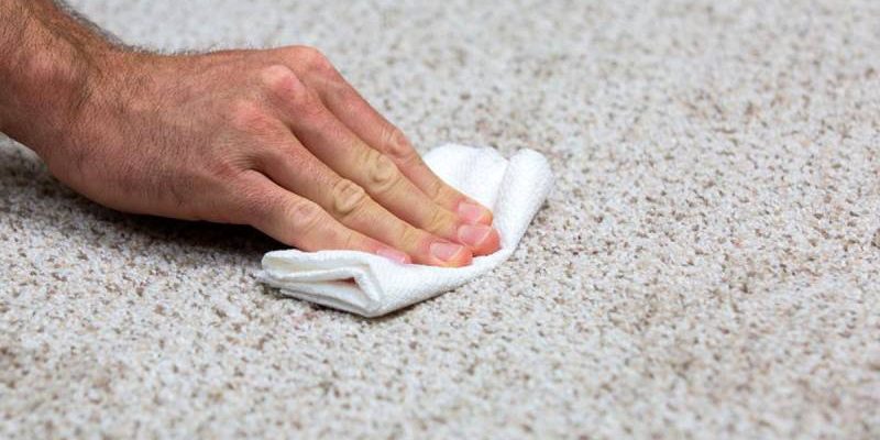 پاک کردن لکه شیر کاکائو از روی فرش - قالیشویی چلسی