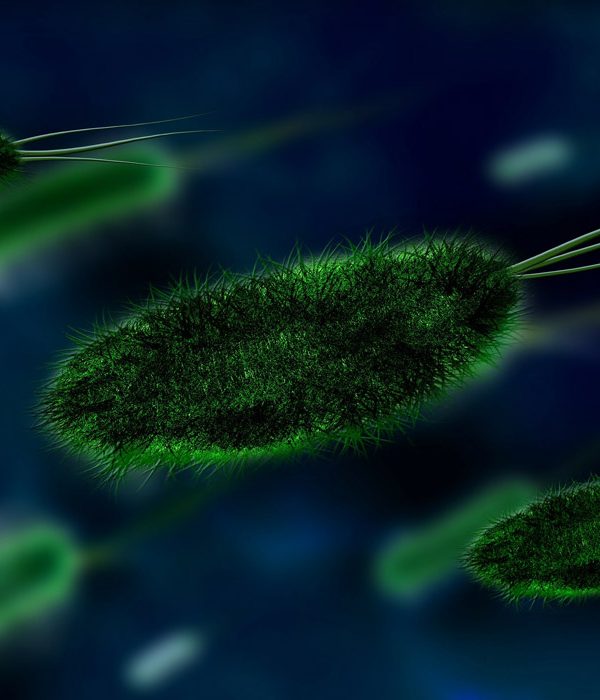 ویروس‌ها و باکتری‌های درون فرش و مضرات آن‌ها - قالیشویی چلسی