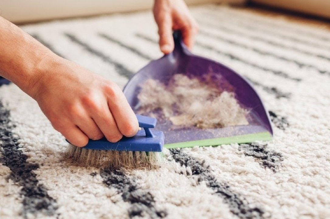 مهم پرزگیری فرش قبل از قالیشویی - قالیشویی چلسی